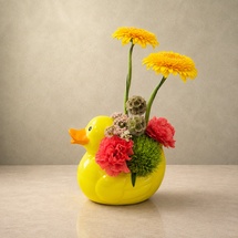 Ducky Delight